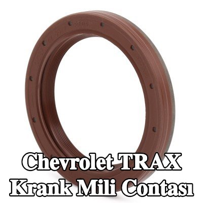 FEBI BILSTEIN FPM (florlu kauçuk) krank mili contası — Chevrolet Trax