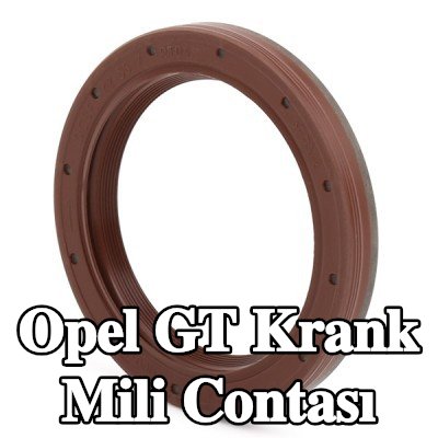 FEBI BILSTEIN FPM (florlu kauçuk) krank mili contası — Opel Gt