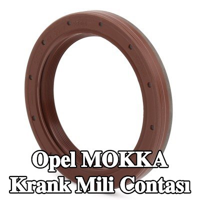 FEBI BILSTEIN FPM (florlu kauçuk) krank mili contası — Opel Mokka