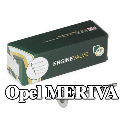 BGA صمام العادم — Opel Meriva