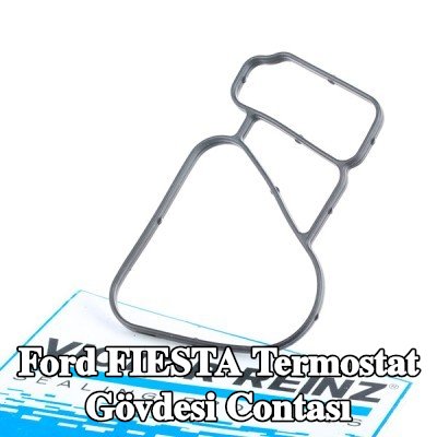 REINZ Termostat gövdesi contası — 2001 Ford Fiesta