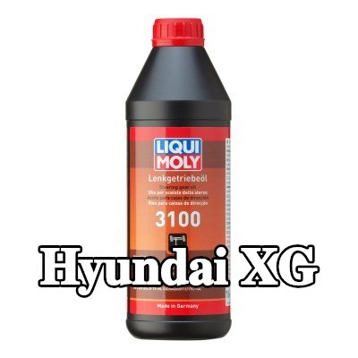 LIQUI MOLY سائل التوجيه المعزز 3100 — Hyundai Xg