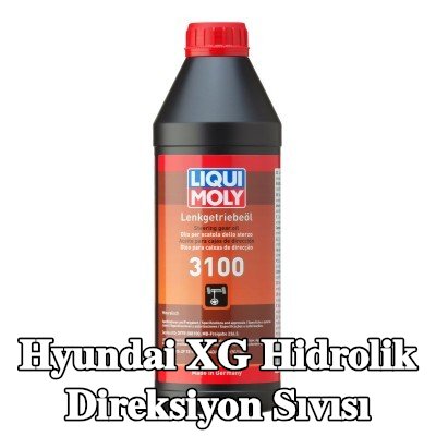 LIQUI MOLY Hidrolik direksiyon sıvısı 3100 — Hyundai Xg