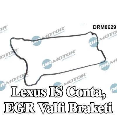 DR.MOTOR AUTOMOTIVE Conta, EGR valfi braketi — Lexus Is