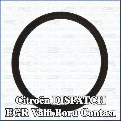 AJUSA EGR valfi boru contası — Citroën Dispatch