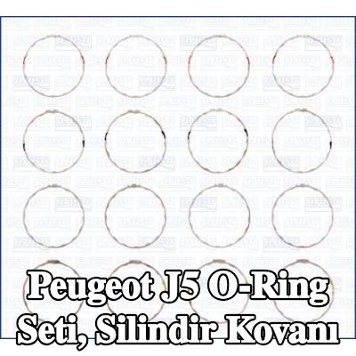 AJUSA O-Ring Seti, silindir kovanı — Peugeot J5