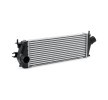 RIDEX Intercooler — 2012 Renault Trafic (2)