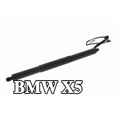 VEMO محرك كهربائي، الباب الخلفي — 2013 BMW X5