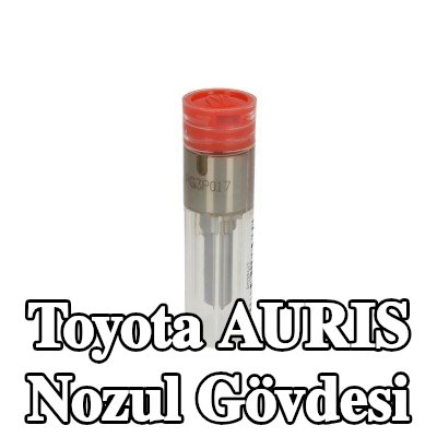 Wuzetem Nozul Gövdesi — Toyota Auris