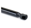 RIDEX Arka kapak destek kolu Araç Arka Kapak, her iki taraf, 446mm — Ford Cougar (6)