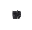 MAHLE Üfleyici motoru 12V, entegre regülatörsüz — Renault Sandero / Stepway (3)