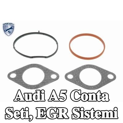 VEMO Conta seti, EGR sistemi — 2012 Audi A5