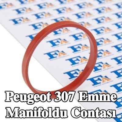 FA1 Emme manifoldu contası — Peugeot 307