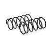 BILSTEIN Süspansiyon kiti, coil springs / shock absorbers - B12 Pro-Kit — 2000 Ford Focus (7)