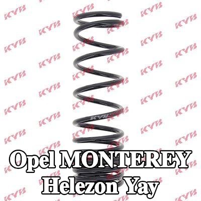 KYB Sarmal yay K-Flex, Arka Aks — Opel Monterey