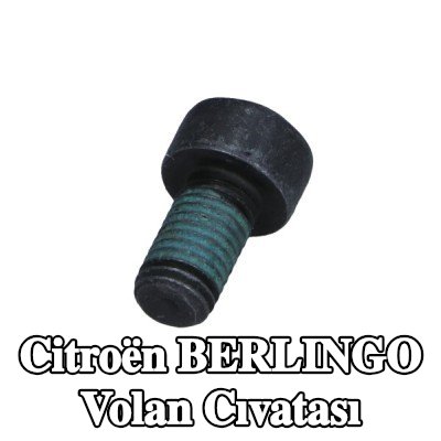 CITROEN/PEUGEOT Volan Cıvatası — Citroën Berlingo
