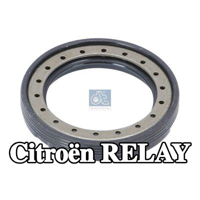 DT Spare Parts حشية عمود الكامات — Citroën Relay