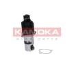 KAMOKA EGR valfi — Citroën C35 (1)