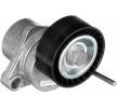 GATES Gergi kasnağı DriveAlign, Outer Diameter: 65mm — 2010 Peugeot 408 (1)