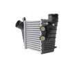 HELLA Sensörlü intercooler — 2002 Audi A3 (1)