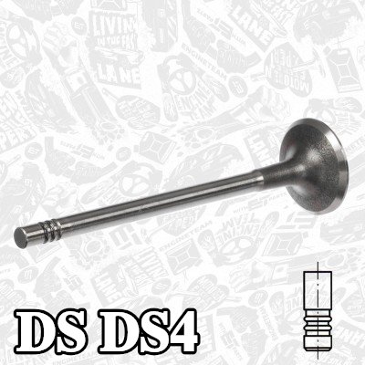 ET ENGINETEAM صمام السحب جانب السحب, صمام مطلي بالكروم — DS Ds4