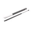 RIDEX Arka kapak destek kolu Araç Arka Kapak, 830mm — Nissan Nv250 (1)