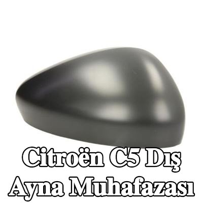 BLIC Dış ayna muhafazası — Citroën C5