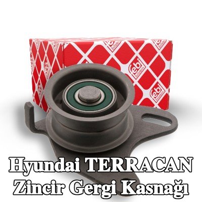 FEBI BILSTEIN Zincir gergi kasnağı — Hyundai Terracan