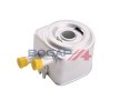 BOGAP Motor yağı soğutucusu — 1999 Citroën Relay (10)