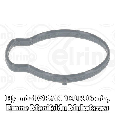 ELRING Conta, emme manifoldu gövdesi Gaz Kelebeği Gövdesi — Hyundai Grandeur