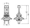 OSRAM LED ampul — Citroën Dispatch (6)