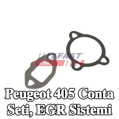 FAST Conta seti, EGR sistemi — Peugeot 405