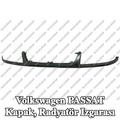 PRASCO Kapak, radyatör ızgarası — Volkswagen Passat