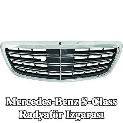 DIEDERICHS Radyatör ızgarası — Mercedes-Benz S-Class