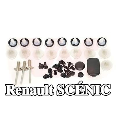 VAN WEZEL طقم تركيب، الباب — 2012 Renault Scénic