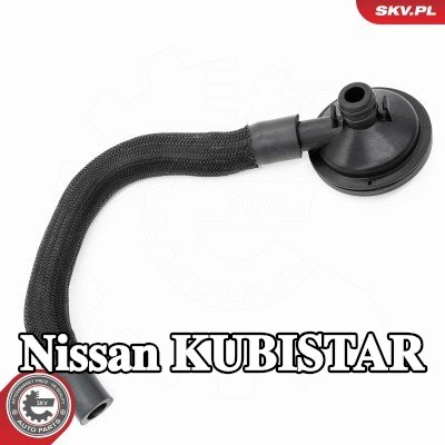 ESEN SKV صمام, فتحة تهوية كتلة المحرك رأس الأسطوانة — Nissan Kubistar