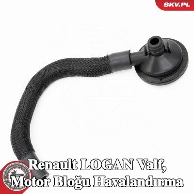 ESEN SKV Valf, motor bloğu havalandırma Silindir Kafası — Renault Logan