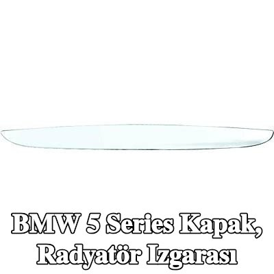 DIEDERICHS Kapak, radyatör ızgarası — BMW 5 Series
