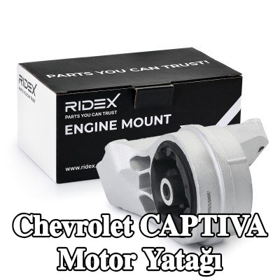 RIDEX Motor yatağı, arka — Chevrolet Captiva