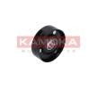 KAMOKA Gergi Kolu, V-oluklu kayış — 2002 Hyundai Sonata (1)