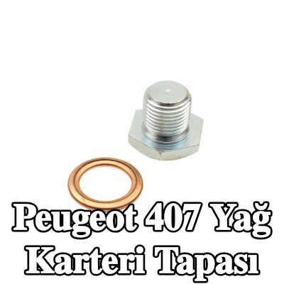 FAST Yağ karteri tapası M14x1, 25, conta halkası ile — Peugeot 407