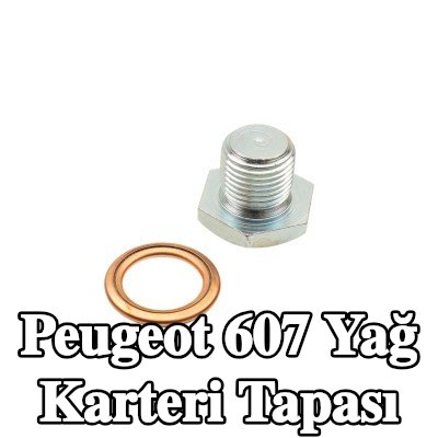 FAST Yağ karteri tapası M14x1, 25, conta halkası ile — Peugeot 607