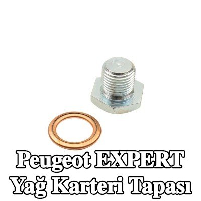 FAST Yağ karteri tapası M14x1, 25, conta halkası ile — Peugeot Expert