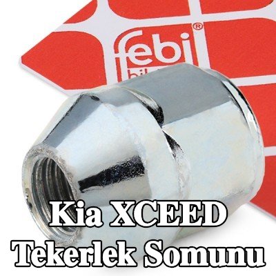 FEBI BILSTEIN Tekerlek Somunu 21 — Kia Xceed
