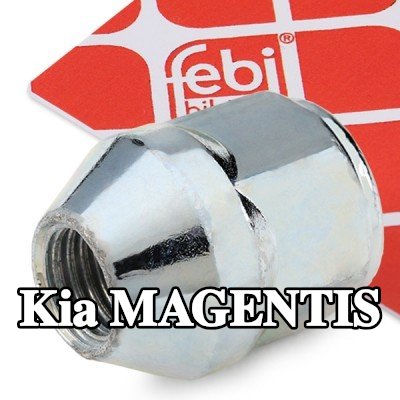 FEBI BILSTEIN صامولة العجلة 21 — Kia Magentis