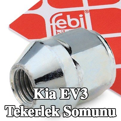 FEBI BILSTEIN Tekerlek Somunu 21 — Kia Ev3