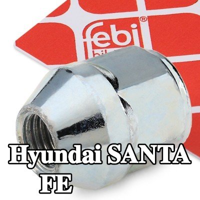 FEBI BILSTEIN صامولة العجلة 21 — Hyundai Santa Fe