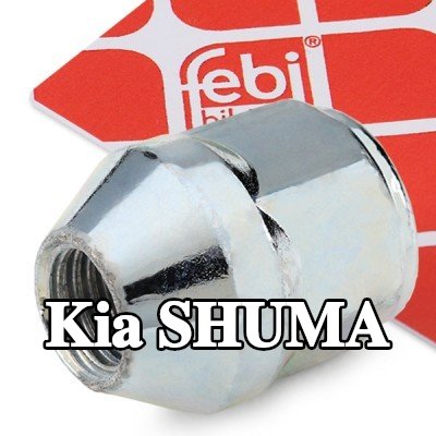 FEBI BILSTEIN صامولة العجلة 21 — Kia Shuma
