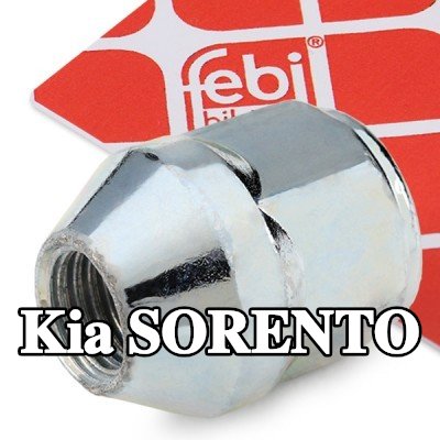 FEBI BILSTEIN صامولة العجلة 21 — Kia Sorento