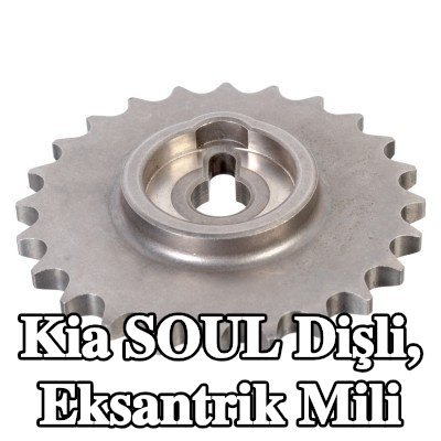 FEBI BILSTEIN Dişli, eksantrik mili — 2012 Kia Soul